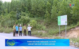 Bản tin Nông nghiệp – Nông thôn 29/11/2025