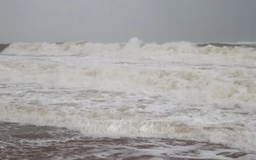 Đêm 03/11 ngày 04/11, vùng biển Thanh Hóa có gió Đông Bắc mạnh cấp 6, có lúc cấp 7, giật cấp 8