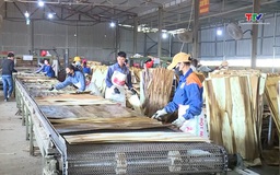 Ngành gỗ Việt Nam đối diện với phòng vệ thương mại của Hoa Kỳ