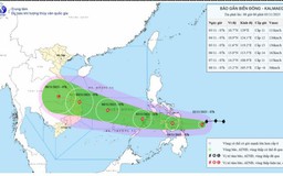 Bão KALMAEGI mạnh cấp 11, giật cấp 15