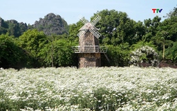 Mùa hoạ mi trở lại, Động Tiên Sơn bừng sắc giữa tiết trời se lạnh