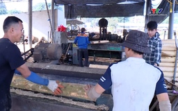 Thanh Hóa phát triển được 10 chuỗi liên kết sản xuất chế biến lâm sản