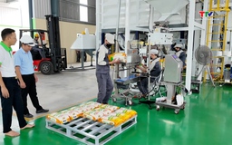 Doanh nghiệp xây dựng phương án lương, thưởng tết năm 2026