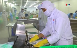 Xuất khẩu thủy sản xượt khó về đích