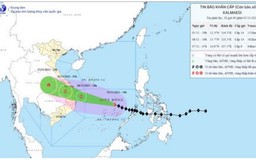 Bão số 13 cách Quy Nhơn (Gia Lai) khoảng 800km về phía Đông Đông Nam, giật cấp 17