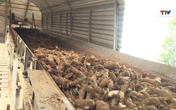 EU giảm 50% số lượng cảnh báo đối với nông sản Việt