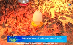 Bản tin Nông nghiệp - Nông thôn ngày 1/11/2025