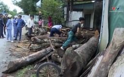 Xã Thọ Lập ra quân giải toả hành lang an toàn giao thông