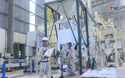 Phong trào sản xuất, kinh doanh giỏi tạo động lực để nông dân làm giàu