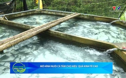 Bản tin Nông nghiệp - Nông thôn ngày 08/11/2025