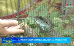 Bản tin Nông nghiệp - Nông thôn ngày 10/12/2025