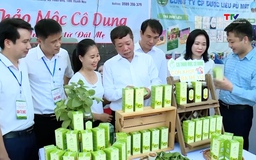 Chủ động sản phẩm tham gia kết nối cung cầu nông sản, thực phẩm an toàn năm 2025