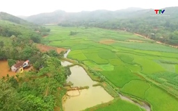 Đề xuất giảm 70% tiền chuyển đổi đất nông nghiệp sang thổ cư