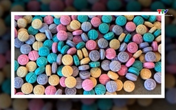 Cảnh báo về loại ma túy cực độc fentanyl, độc tính cao gấp 50 lần so với heroine