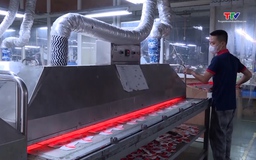 Doanh nghiệp Thanh Hóa chú trọng đổi mới công nghệ 