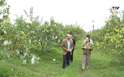 Nông dân Thanh Hóa chung sức xây dựng Nông thôn mới