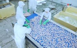 Xuất khẩu tôm lập kỷ lục 