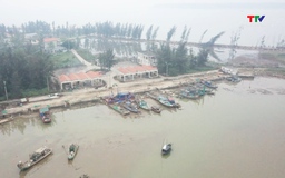 Cần có giải pháp phát huy hiệu quả Cảng cá Hoằng Phụ