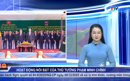 Chính phủ tuần qua ngày 15/12/2025