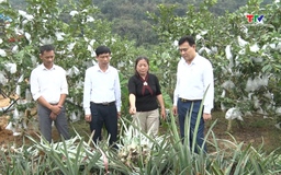 Phong trào nông dân - Động lực mới cho nông thôn Thanh Hóa