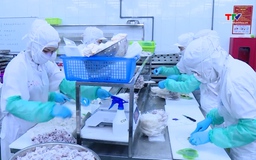 Các doanh nghiệp nắm bắt cơ hội, gia tăng xuất khẩu thủy sản 