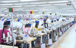 Dệt may Việt Nam bứt phá bằng xanh hóa - số hóa    