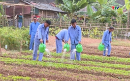 Nâng cao hiệu quả cai nghiện ma túy và quản lý sau cai