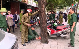 Cao điểm thiết lập lại trật tự công cộng, trật tự đô thị