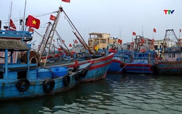 Thanh Hóa: 100% tàu cá từ 15m trở lên đã lắp đặt thiết bị giám sát hành trình 