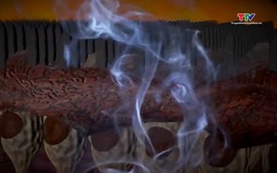 Cần quyết liệt hơn để bảo vệ sức khỏe cộng đồng khỏi khói thuốc lá