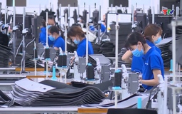 Cả nước có gần 1,1 triệu doanh nghiệp đang hoạt động