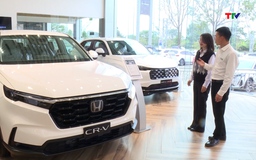 Sôi động thị trường ô tô cuối năm 