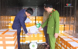 Thu giữ hơn 10 tấn cá khoai có chứa chất cấm 