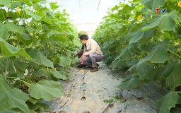 Thiệu Hóa ưu tiên phát triển ngành nghề kinh tế mũi nhọn