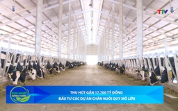 Bản tin Nông nghiệp – Nông thôn 24/12/2025