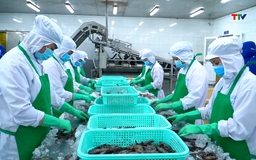 Xuất khẩu thủy sản vượt 11 tỷ USD