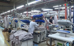 Doanh nghiệp Thanh Hóa đẩy mạnh đầu tư, đổi mới công nghệ