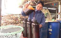 Nghề làm mật mía truyền thống xã Thạch Bình vào vụ Tết