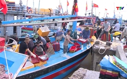 Thanh Hóa: Khai thác thủy sản năm 2025 đạt trên 140 nghìn tấn