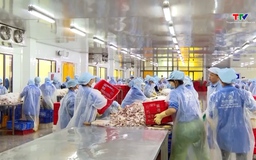 Tăng trưởng của ngành thủy sản Việt Nam tại Singapore