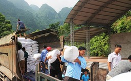 Hỗ trợ gạo dự trữ quốc gia cho công tác bảo vệ, phát triển rừng