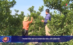 Bản tin Tài chính - Thị trường 5/12/2025