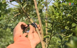 Giảm lãi suất, nâng cao hiệu quả nguồn vốn tín dụng chính sách xã hội