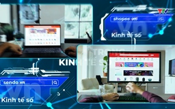 Chính thức công bố danh sách tên miền .vn hết hạn được giải phóng về trạng thái tự do