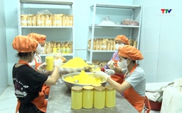 Khi phong trào khởi nghiệp trở thành làn sóng