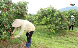 Ứng dụng khoa học và công nghệ trong phát triển kinh tế nông nghiệp ở khu vực miền núi