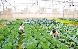 Nông trại Thuận Minh Farm phát triển trồng trọt, chăn nuôi theo mô hình tuần hoàn, khép kín