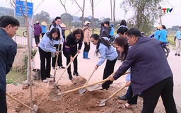 Hội Liên hiệp Phụ nữ tỉnh hưởng ứng “Tết trồng cây - đời đời nhớ ơn Bác Hồ” 