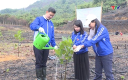 Đoàn khối cơ quan và doanh nghiệp tỉnh Thanh Hoá hưởng ứng Tết trồng cây