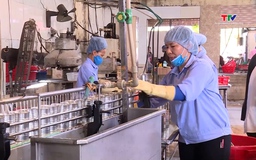 Kinh tế tư nhân đóng góp gần 59% GRDP của Thanh Hóa